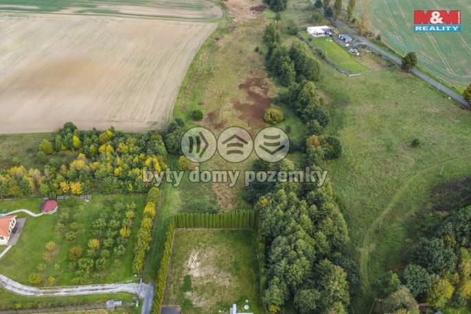 Prodej, Louka, Františkovy Lázně