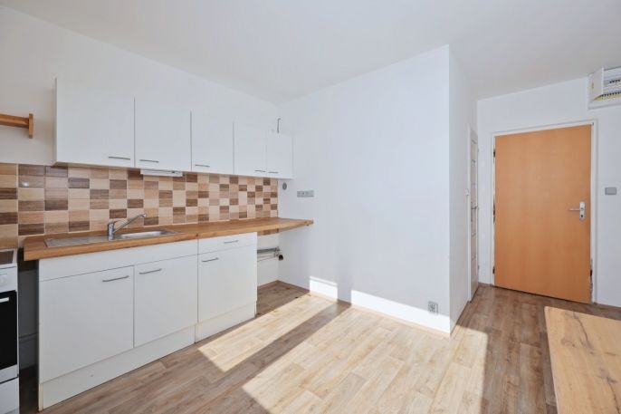 Pronájem, Byt 1+1, Křižanov