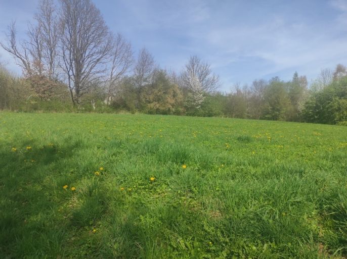 Prodej, Pozemek k bydlení, Velké Losiny