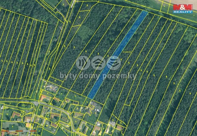 Prodej, Les, Dražíč