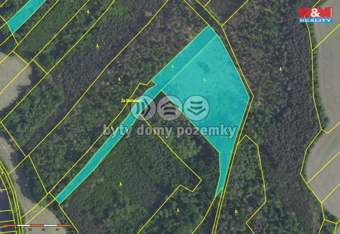 Prodej, Les, Svatý Mikuláš