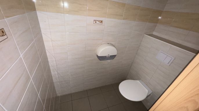 Prodej, Rodinný dům, Plavy