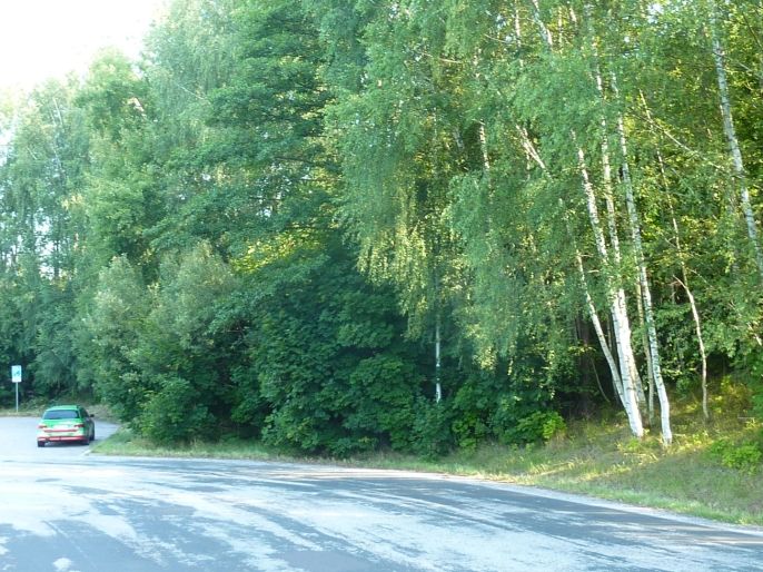 Prodej, Pozemek k bydlení, Trutnov