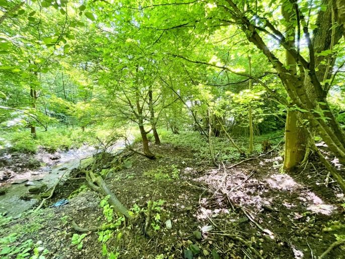 Prodej, Vodní plocha, Skalice u České Lípy