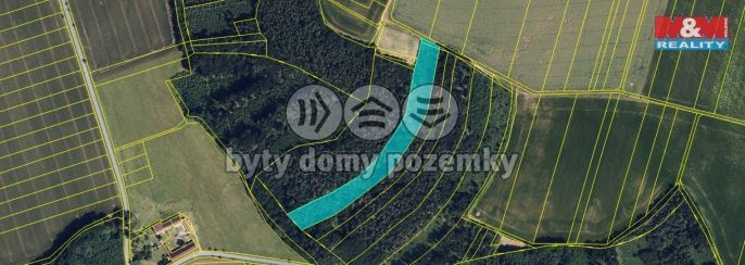 Prodej, Les, Olbramice