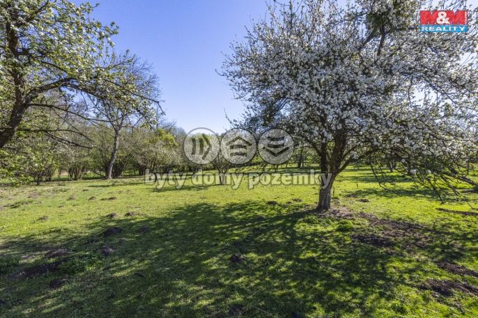 Prodej, Pozemek k bydlení, Suchdol