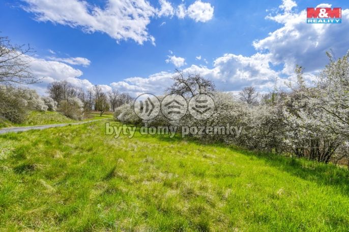 Prodej, Zahrada, Čistá