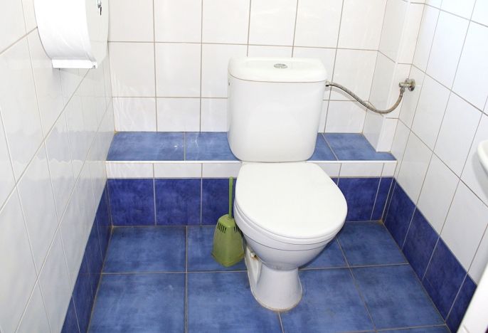 Pronájem, Obchod a služby, Nová Paka