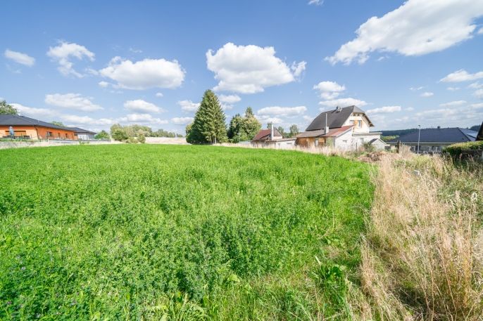 Prodej, Ostatní, Plesná