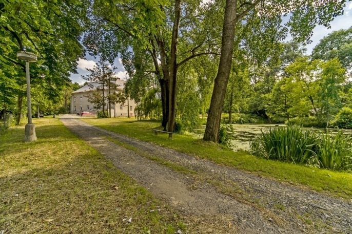 Pronájem, Byt 1+kk, Vlčice