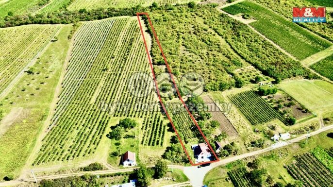 Prodej, Vinný sklep, Perná