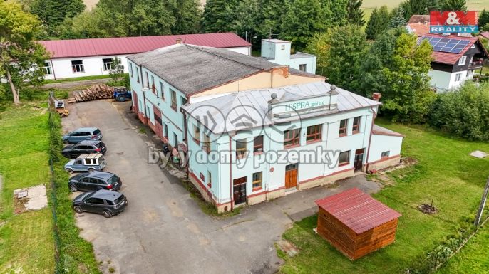 Prodej, Výrobní objekt, Černošín