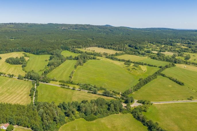 Prodej, Louka, Nové Mitrovice