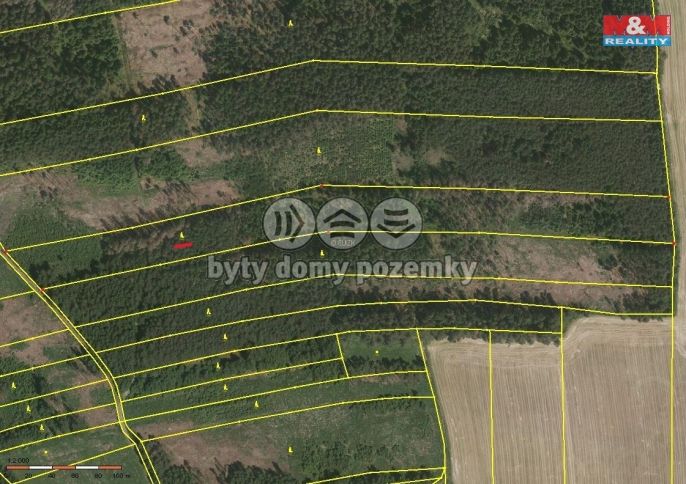 Prodej, Les, Ratibořské Hory