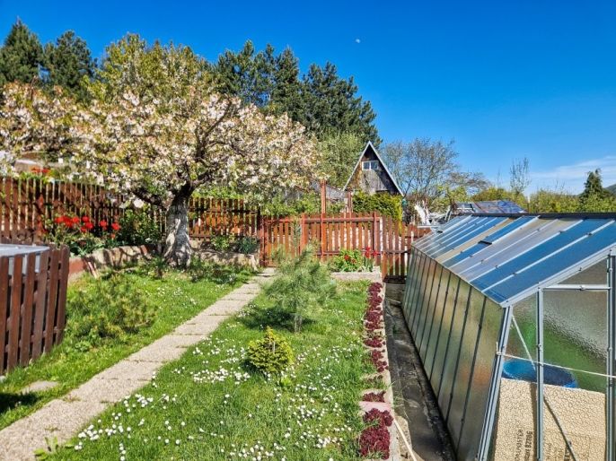 Prodej, Zahrada, Nový Bor