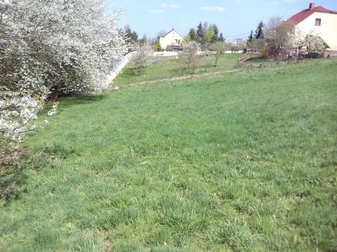 Prodej, Zahrada, Horní Bludovice