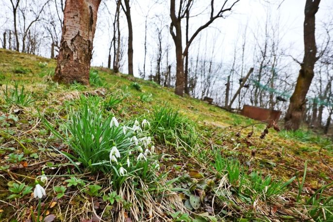 Prodej, Chata, Jemnice