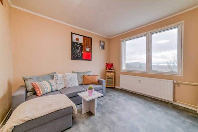 Prodej, Byt 1+1, Planá