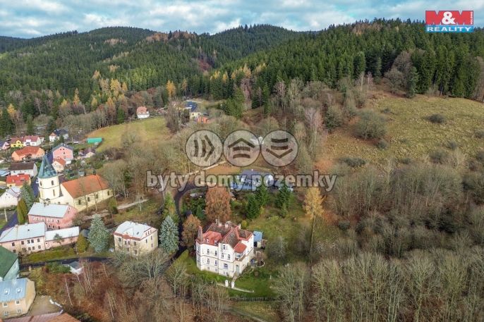 Prodej, Nájemní dům, Lázně Kynžvart