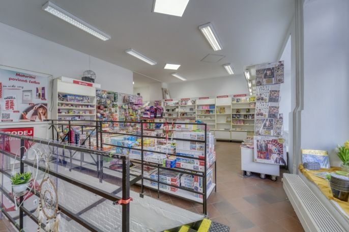 Pronájem, Obchod a služby, Plzeň