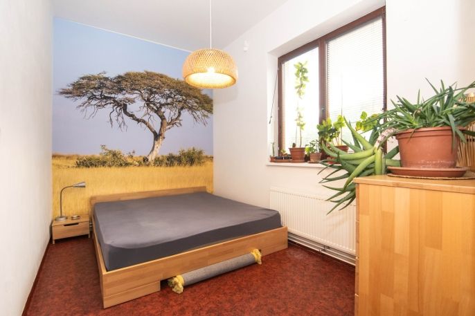 Prodej, Kancelářský prostor, Letovice