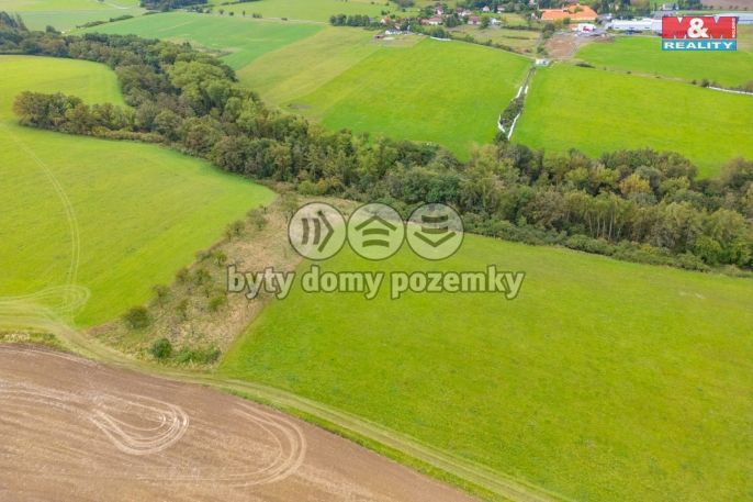 Prodej, Louka, Spálené Poříčí