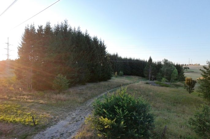 Prodej, Zahrada, Bělá nad Radbuzou