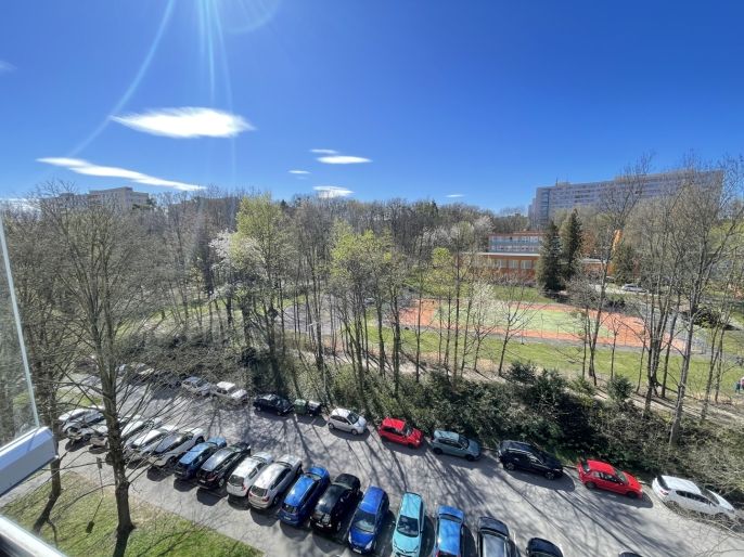 Prodej, Byt 3+1, Ostrava