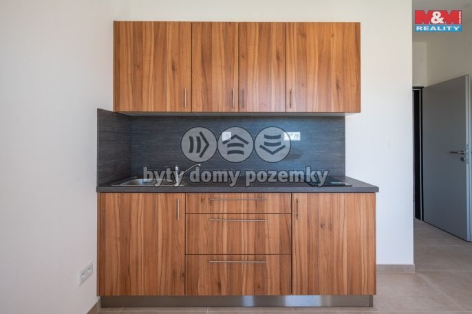 Pronájem, Byt 1+kk, Radošovice