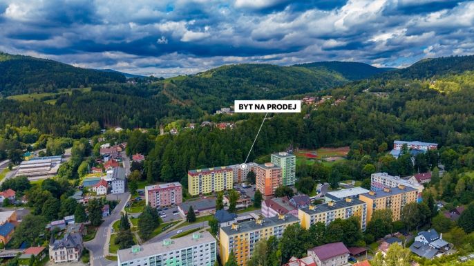 Prodej, Byt 2+1, Desná