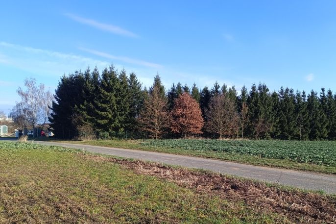 Prodej, Pozemek k bydlení, Senožaty