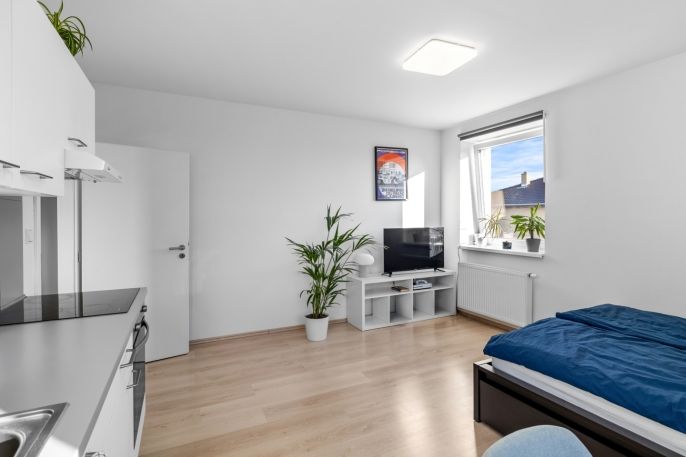 Pronájem, Byt 1+kk, Horoměřice