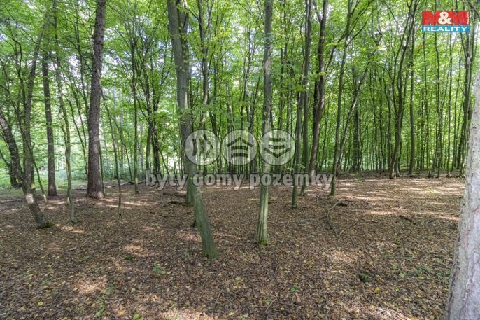 Prodej, Zahrada, Kostelec nad Černými lesy