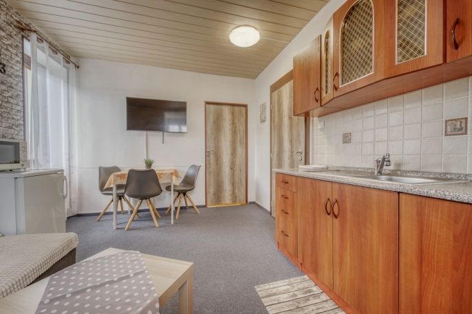 Prodej, Hotel, penzion, Železná Ruda
