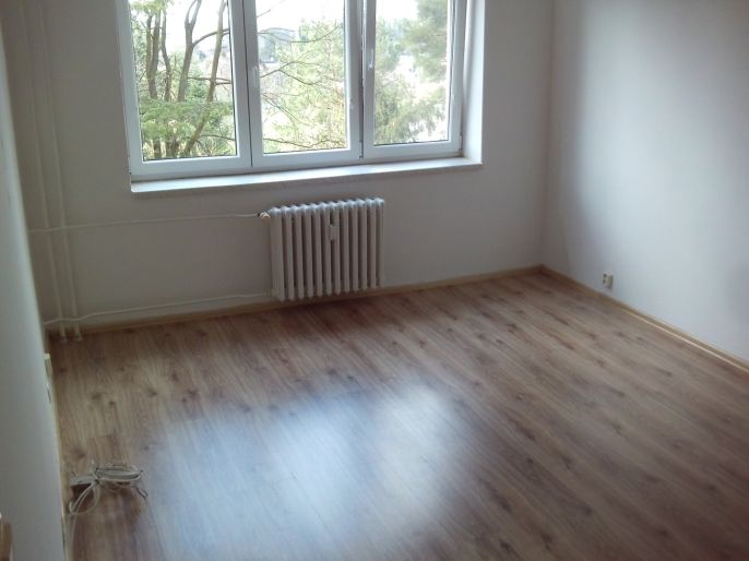 Prodej, Byt 1+1, Karviná