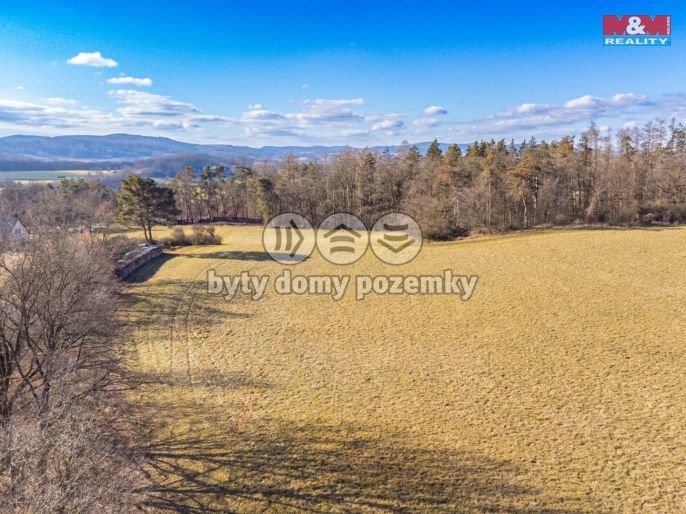 Prodej, Louka, Benešov