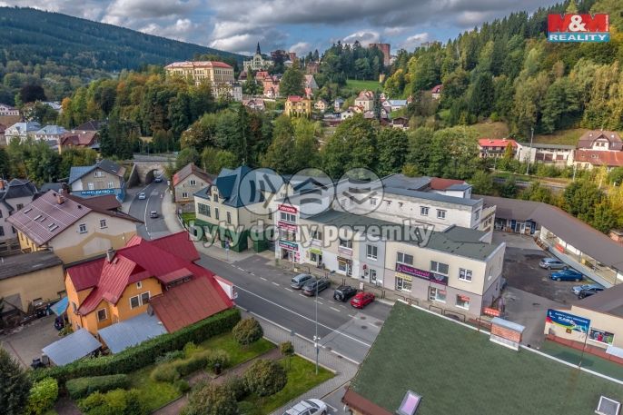 Prodej, Obchod a služby, Tanvald