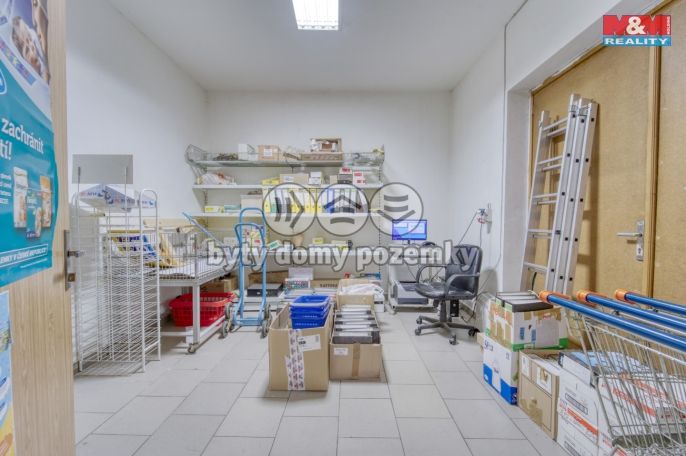 Pronájem, Obchod a služby, Bor