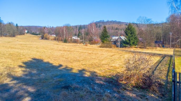 Prodej, Pozemek k bydlení, Polevsko