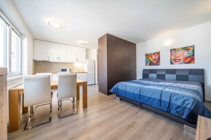 Prodej, Byt 1+kk, Plzeň