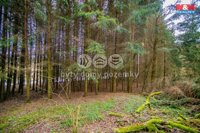 Prodej, Les, Zruč-Senec