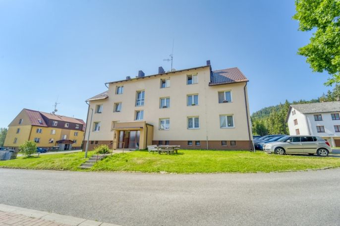 Prodej, Byt 3+1, Borová Lada