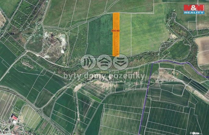 Prodej, Pole, Staňkovice