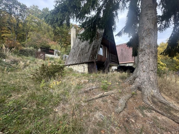 Prodej, Chata, Horní Jiřetín