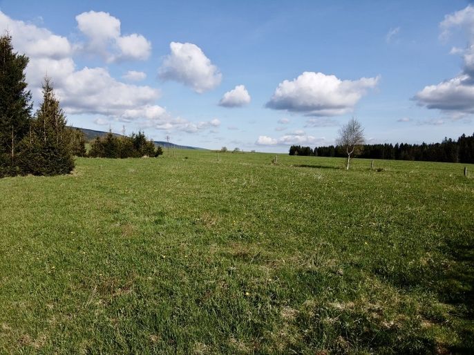 Prodej, Pozemek k bydlení, Orlické Záhoří