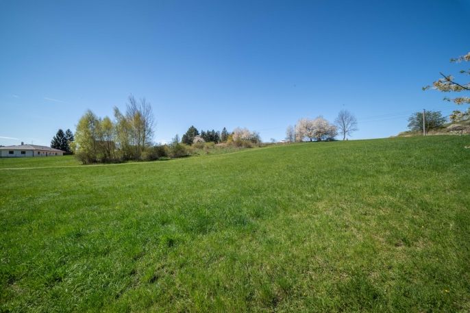 Prodej, Pozemek k bydlení, Břasy