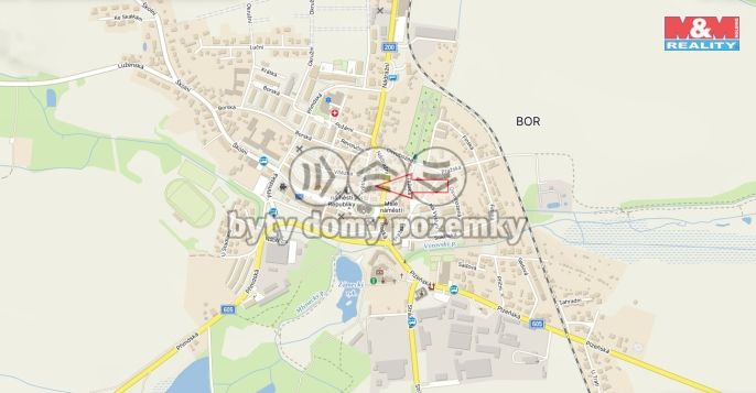 Prodej, Zemědělská usedlost, Bor