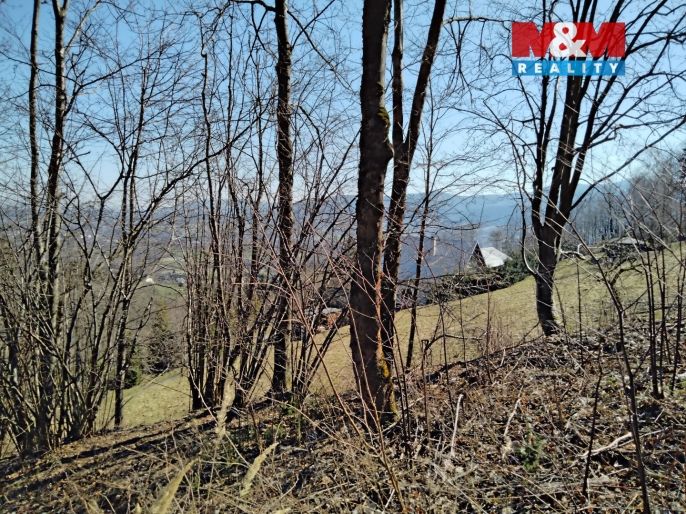 Prodej, Ostatní, Pstruží