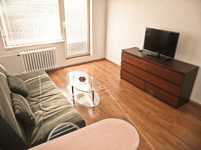 Pronájem, Byt 1+kk, Ostrava