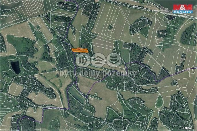 Prodej, Les, Chanovice